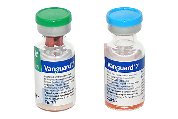 Вакцина вангард для собак отзывы. Вангард 7. Вангард 5 вакцина для собак. Рометар для животных. Рометар 2% 10мл.